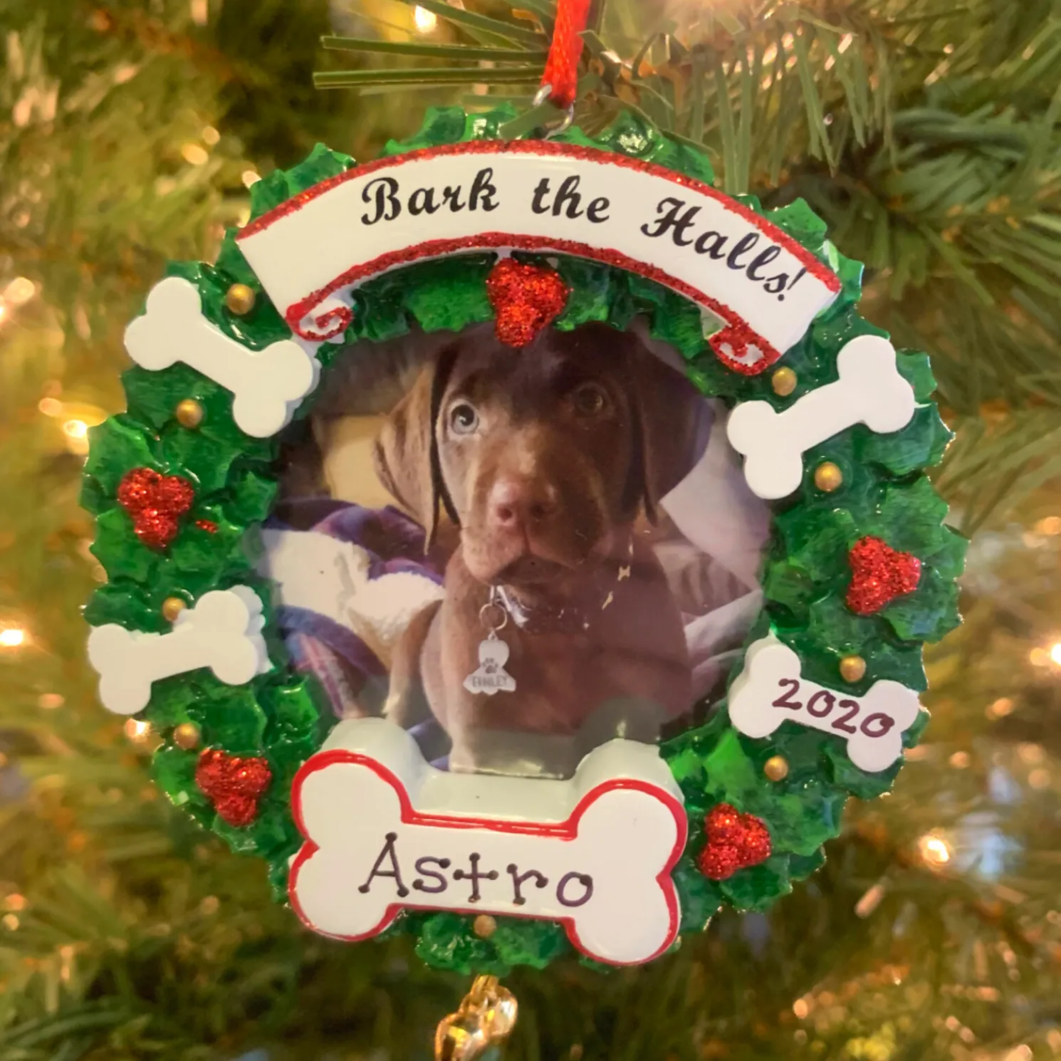 Bark The Halls Pet Picture Frame Personalized Christmas Ornament PF1899