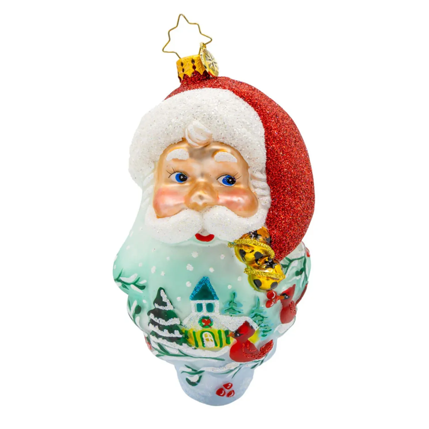 Christopher Radko 2025 Ornament of the Month 12 pc Limited Edition Full Set