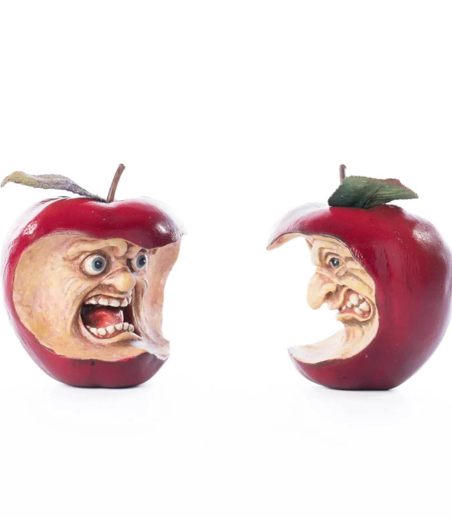 Katherine's Collection 4.75