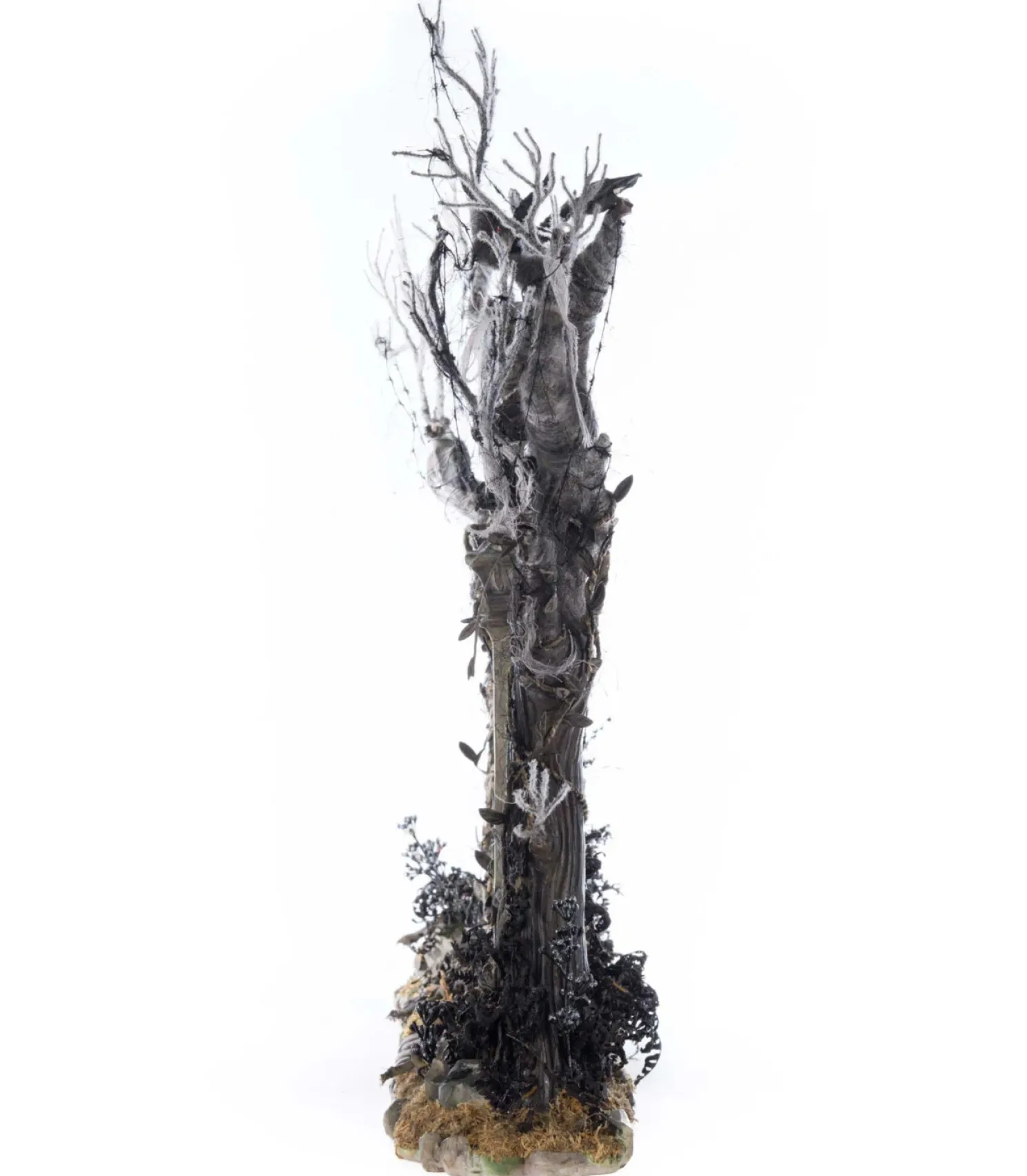 Katherine's Collection 33