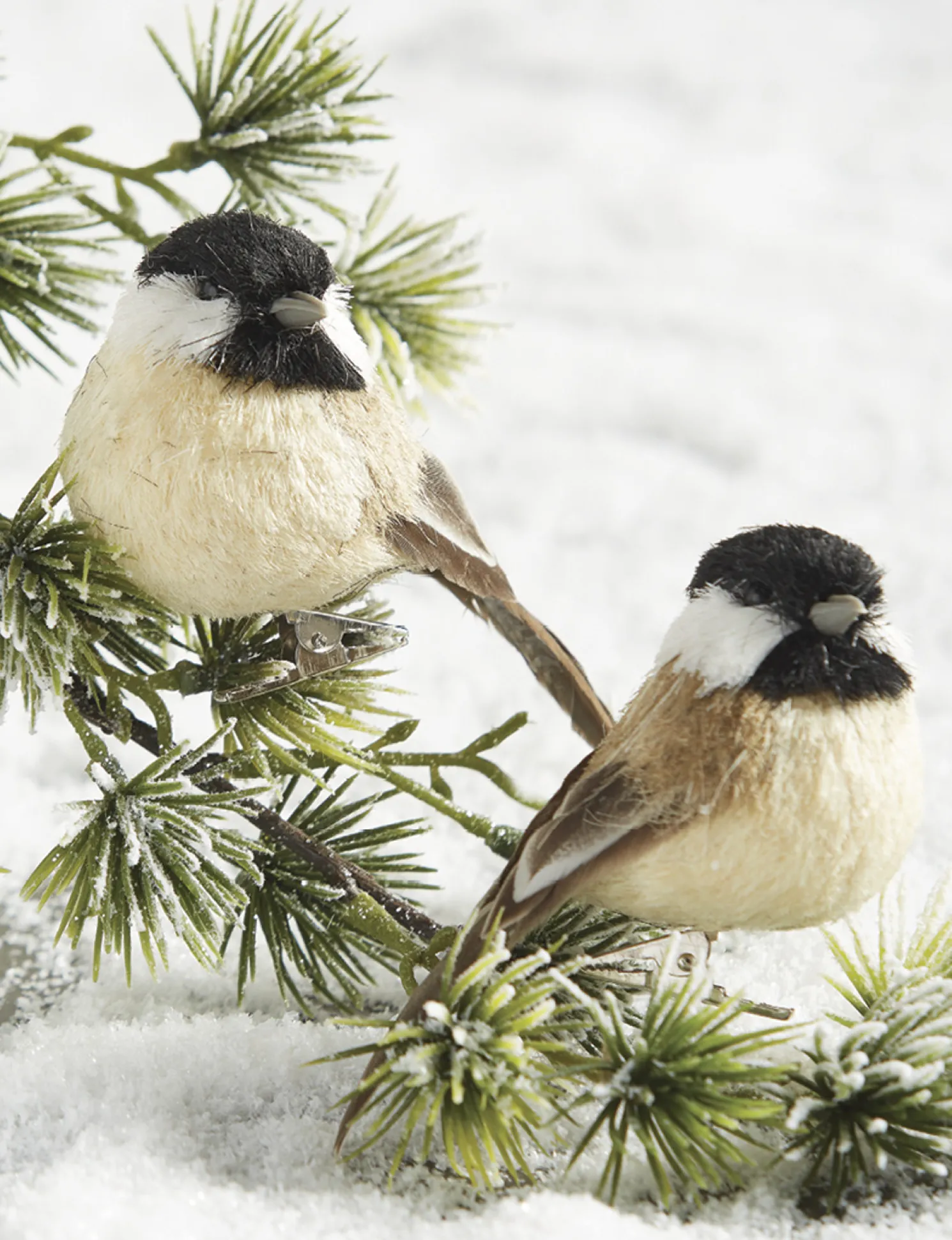 Raz 3.5" Clip On Bird Christmas Ornament 4153305