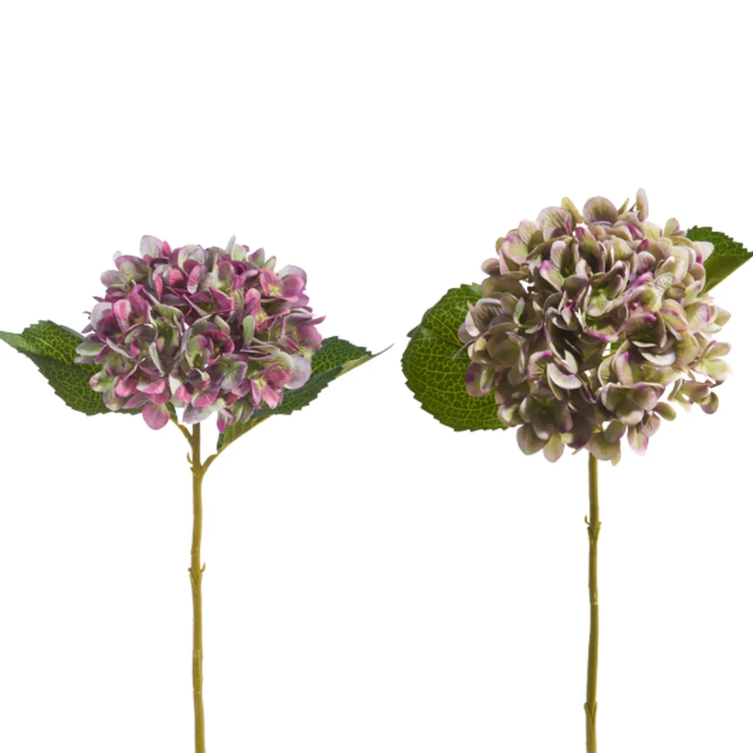 Raz 18" Green or Purple Hydrangea Stem