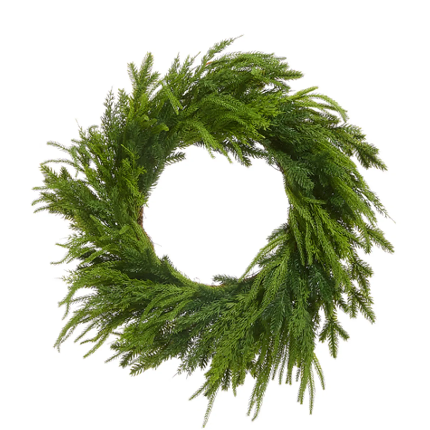 Raz 28" Mixed Cedar Christmas Wreath W4511744