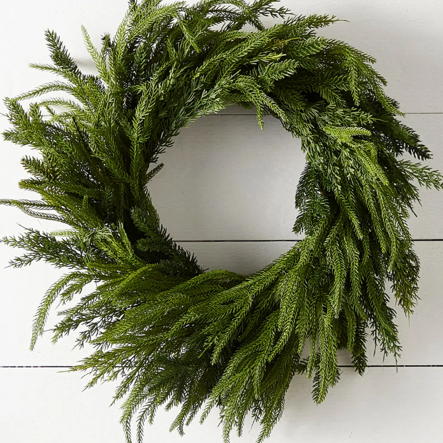 Raz 24" Mixed Cedar Christmas Wreath W4511742