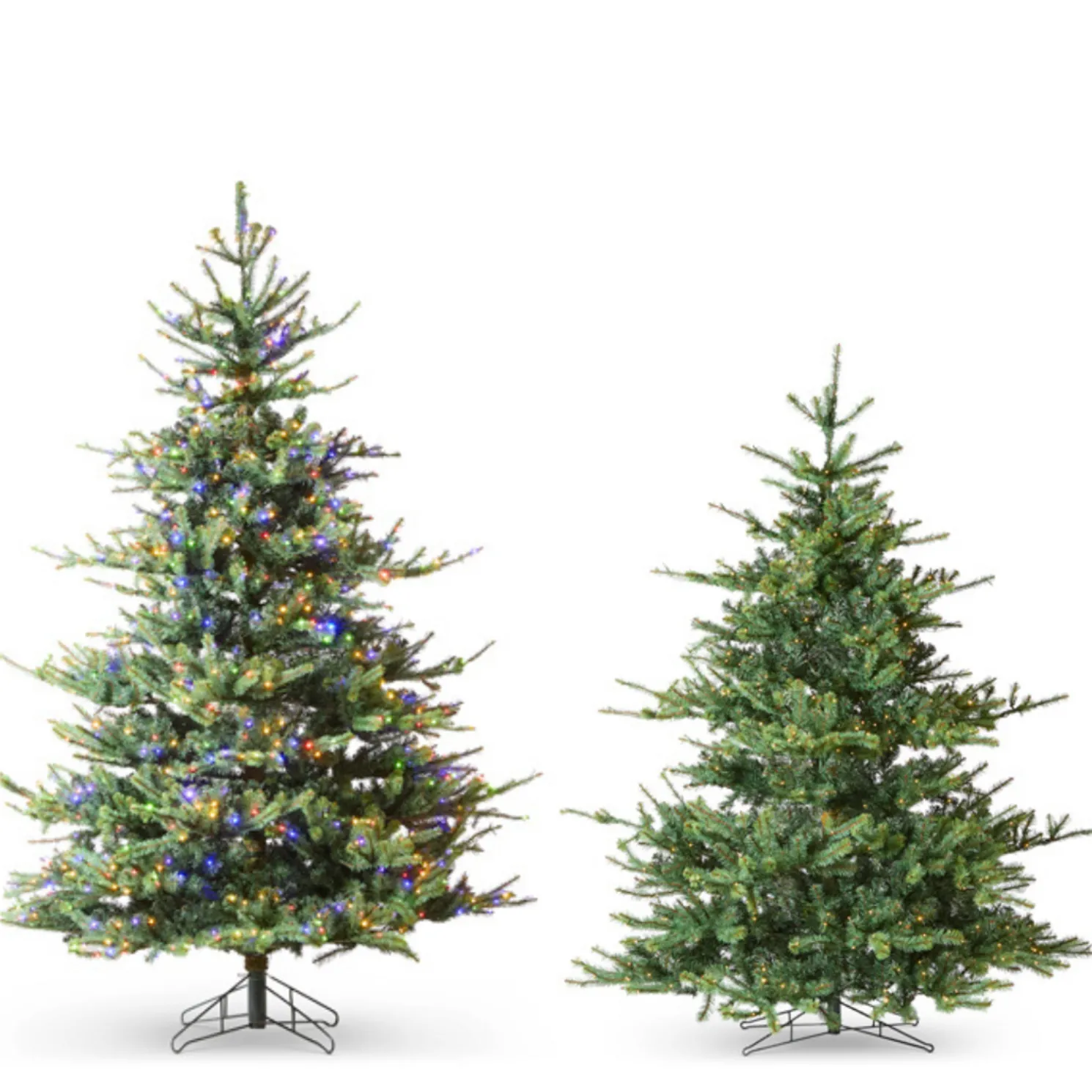 Raz 7.5' or 9' Deluxe Rocky Mountain Spruce with Brilliant Color Change LED Lights
