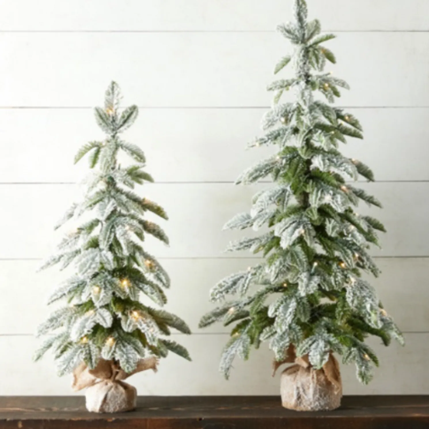 Raz 28" or 36" Flocked Pine Christmas Tree In Bag with Battery Operated Warm White Lights