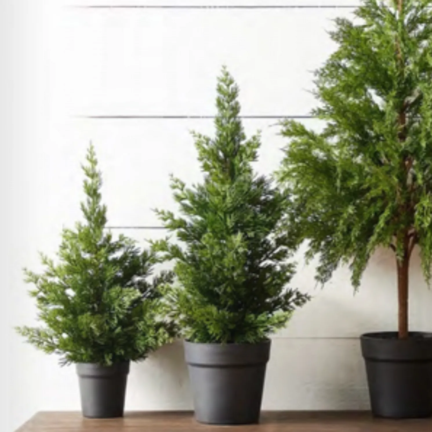 Raz 17" or 22" Real Feel Potted Cedar Christmas Tree Decoration