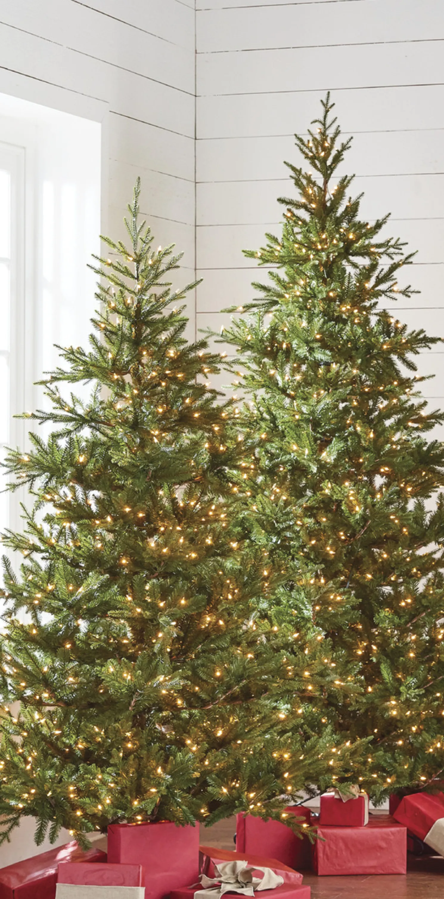 Raz 7.5' Pre-lit Green Mountain Fraser Fir Christmas Tree T4147025