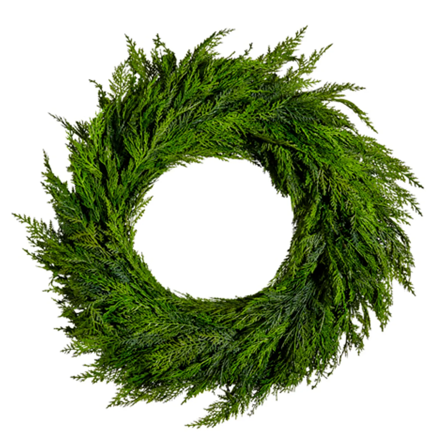 Raz 28" Real Feel Cedar Branch Christmas Wreath W4422704