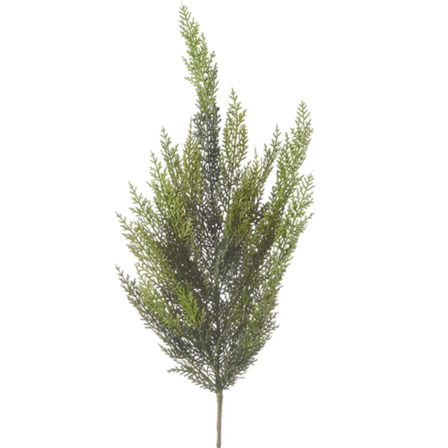 Raz 34" Real Feel Cedar Christmas Tree Spray F4341736