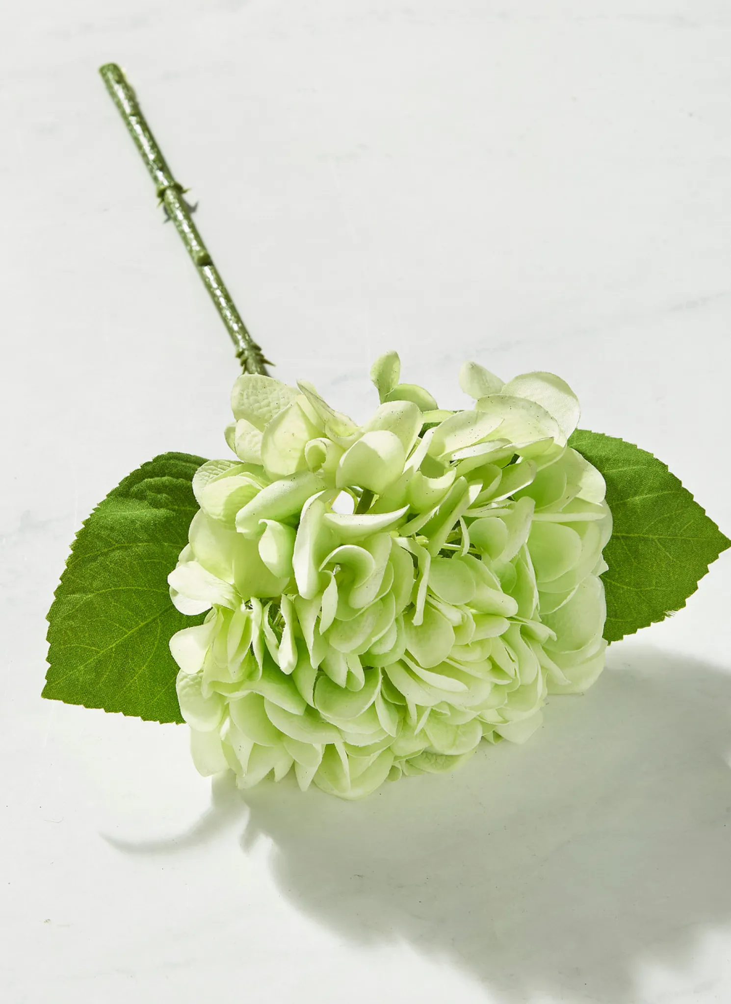 Raz 13" Real Feel Green Hydrangea Stem Christmas Decoration XF4322680