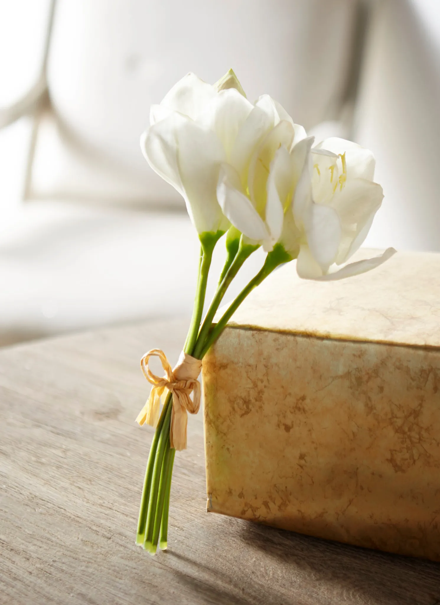 Raz 12" Real Feel White Amaryllis Bundle F4302310