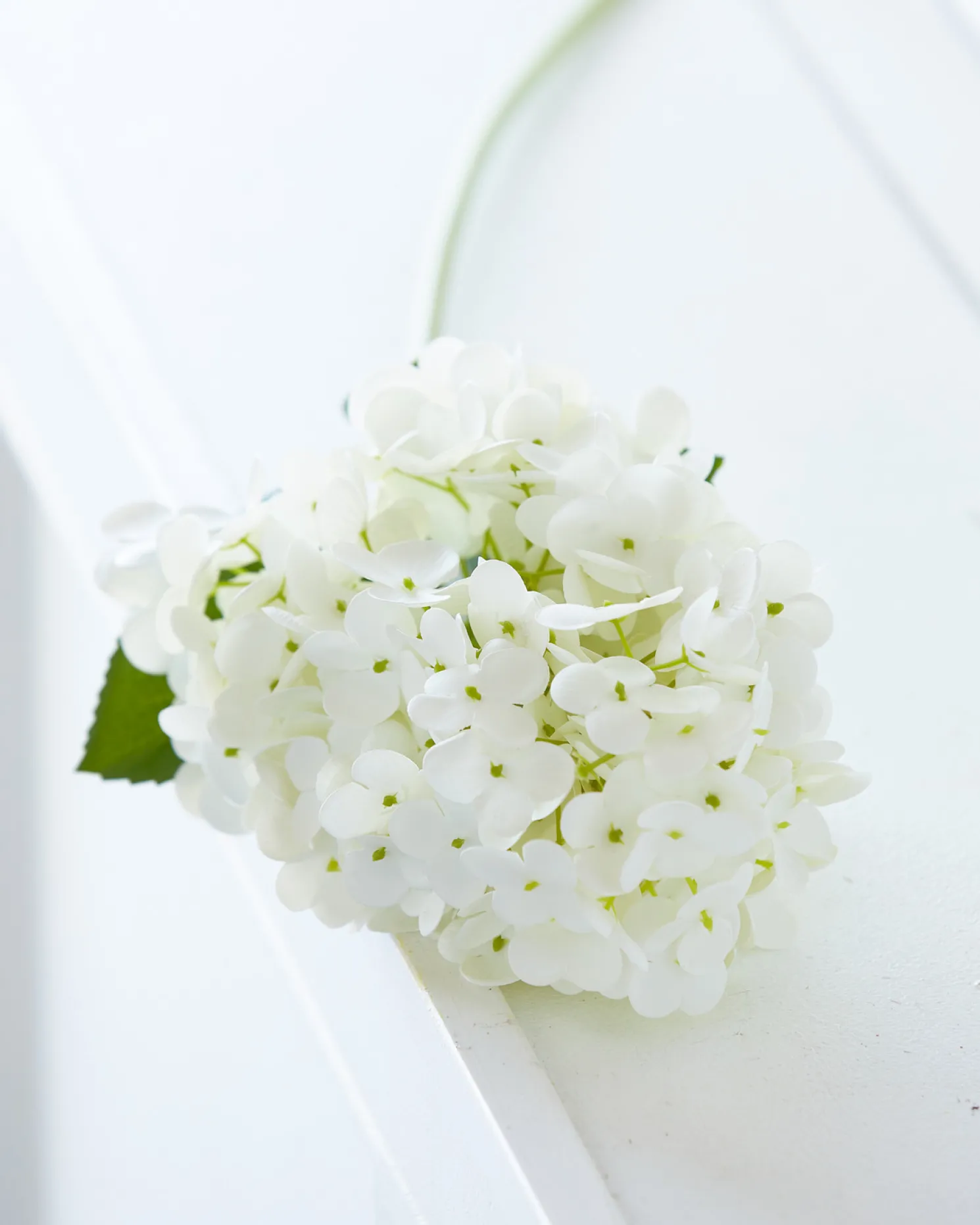 Raz 29" Real Feel White Hydrangea Stem F4441834